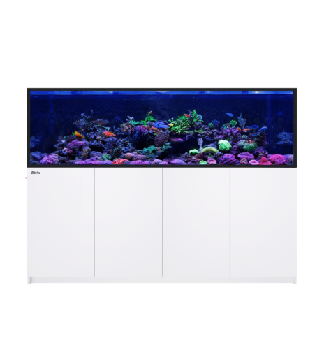 Red Sea REEFER S-850 G3+ – Aquarium récifal 850 L – Classique et MAX