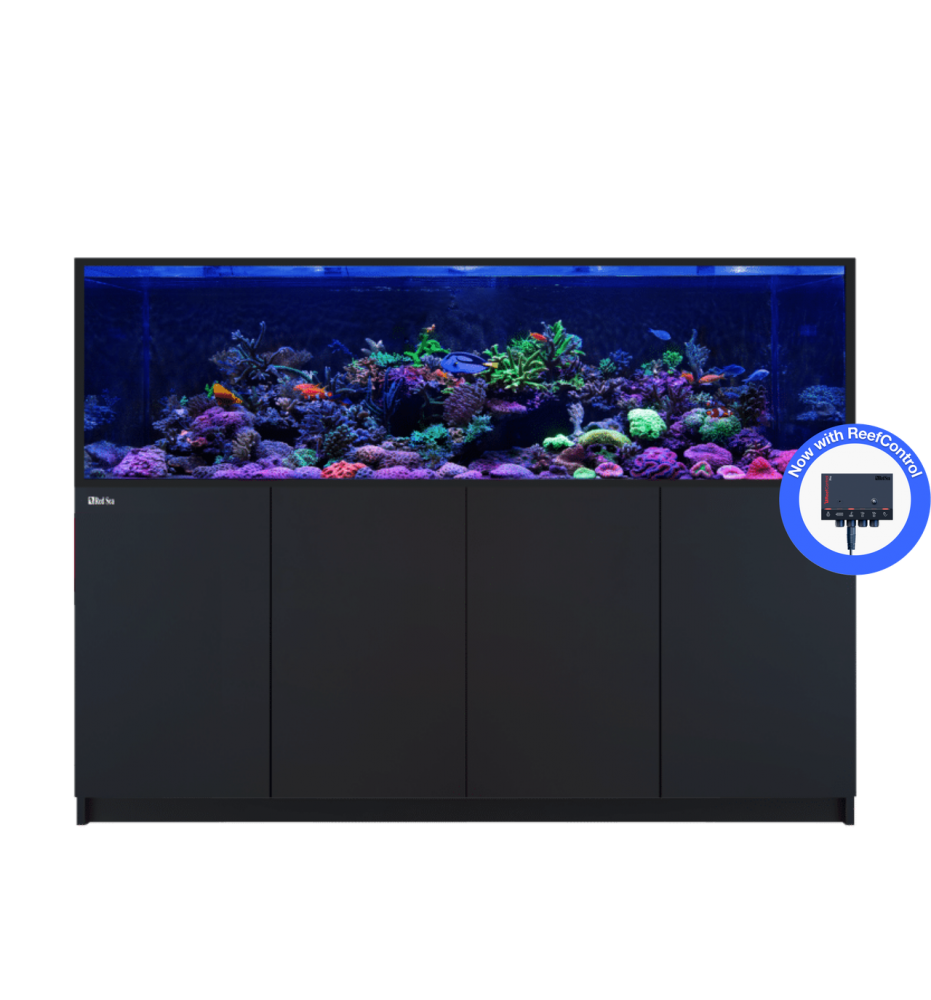 Red Sea REEFER S-850 G3+ – Aquarium récifal 850 L – Classique et MAX