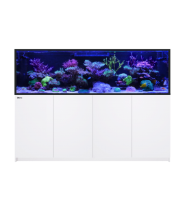 Red Sea REEFER S-1000 G3+ – Aquarium récifal 1 000 L – Classique et MAX