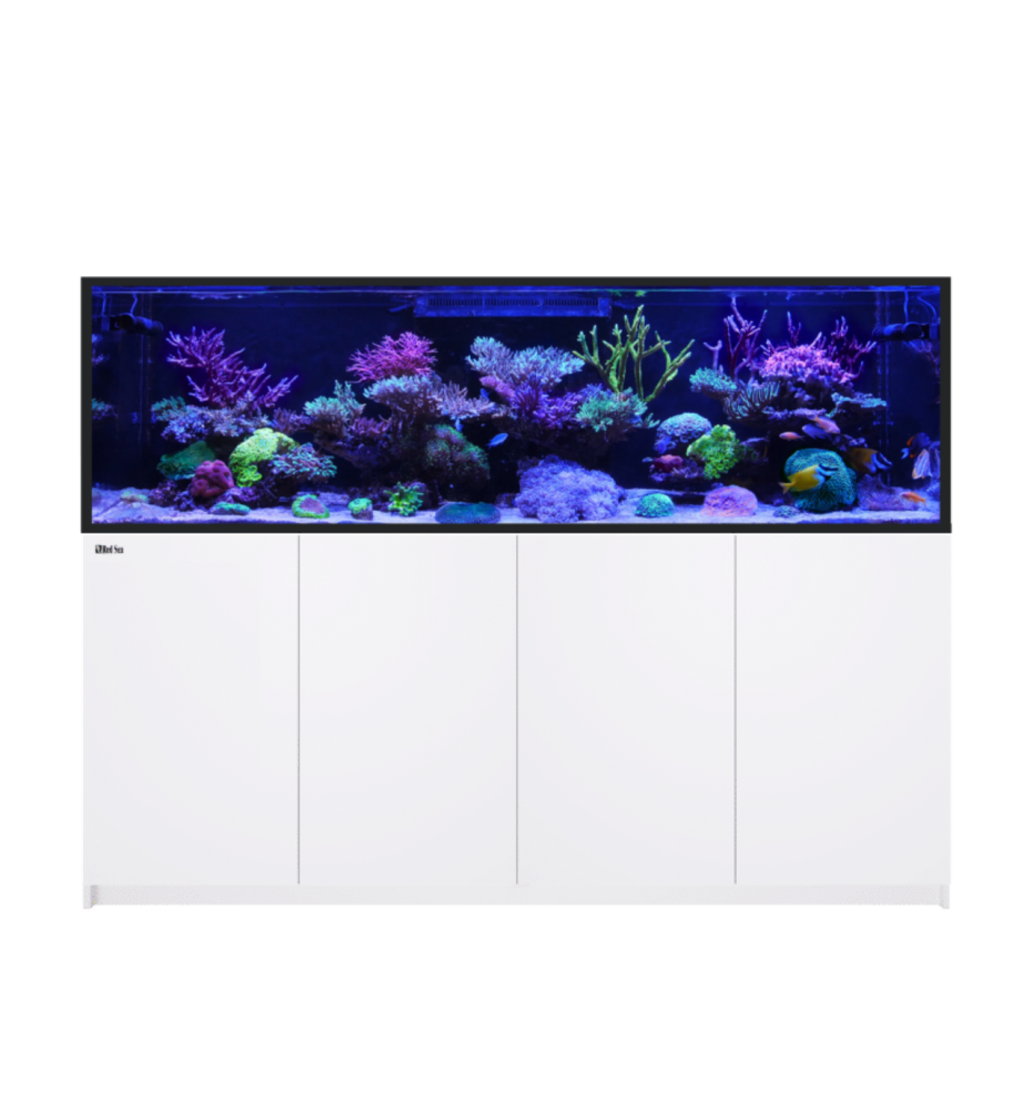 Red Sea REEFER S-1000 G3+ – Aquarium récifal 1 000 L – Classique et MAX