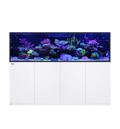 Red Sea REEFER S-1000 G3+ – Aquarium récifal 1 000 L – Classique et MAX