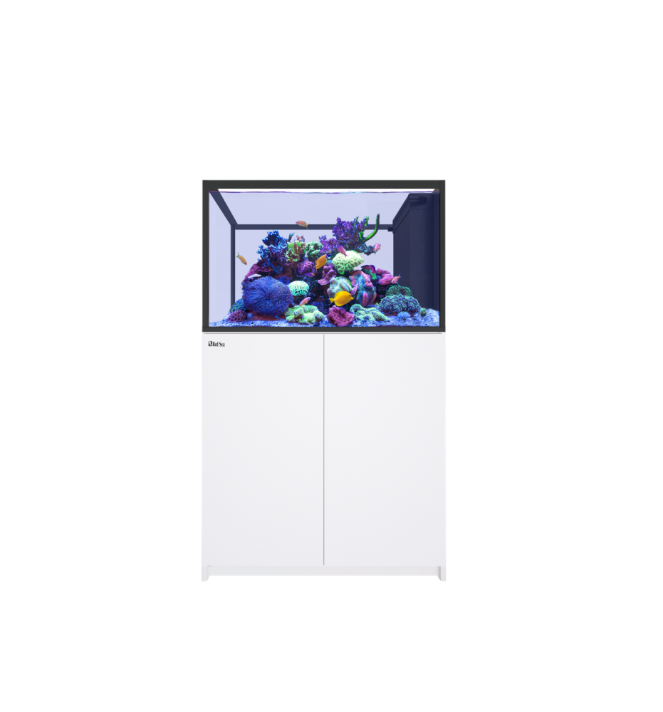 Red Sea REEFER Peninsula 350 G3+ – Aquarium récifal 352 L