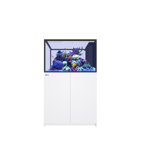 Red Sea REEFER Peninsula 350 G3+ – Aquarium récifal 352 L