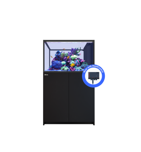 Red Sea REEFER Peninsula 350 G3+ – Aquarium récifal 352 L