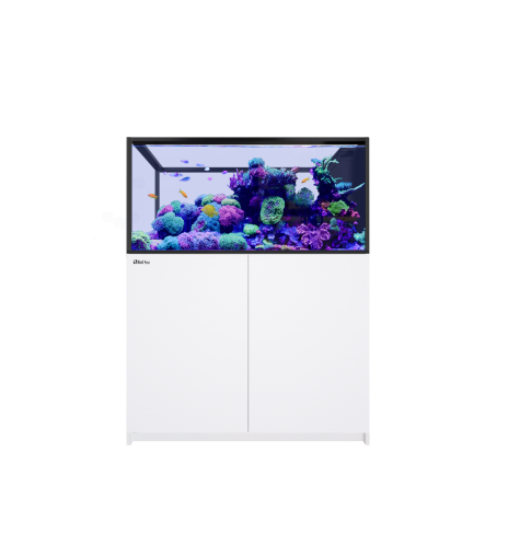 Red Sea REEFER Peninsula 500 G3+ – Aquarium récifal 519 L