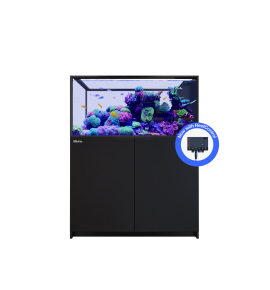Red Sea REEFER Peninsula 500 G3+ – Aquarium...