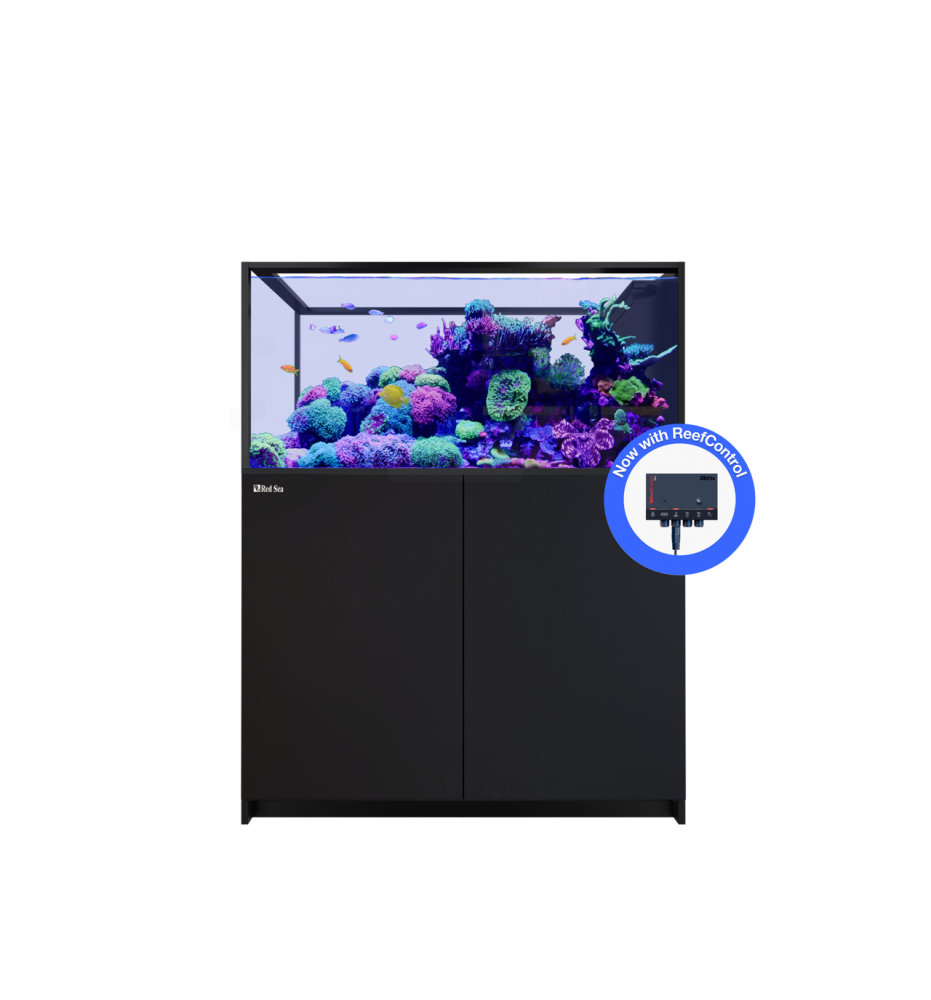 Red Sea REEFER Peninsula 500 G3+ – Aquarium récifal 519 L