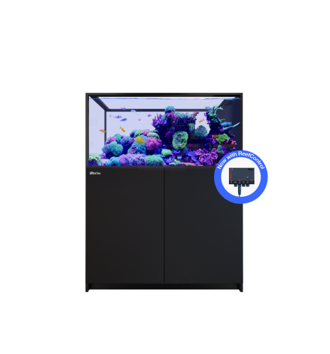 Red Sea REEFER Peninsula 500 G3+ – Aquarium récifal 519 L
