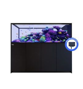Red Sea REEFER Peninsula S-950 G3+ – Aquarium...