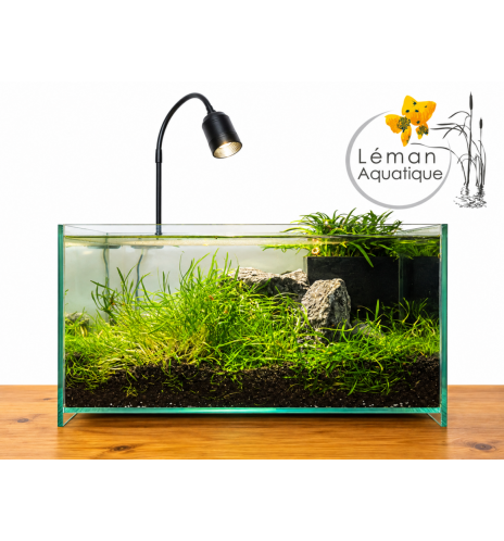 SuperFish – Medaka Aqua One 25 L – Aquarium aquaponique