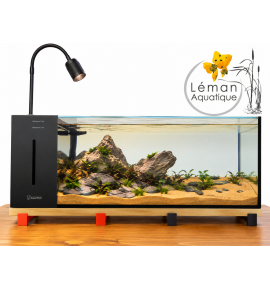 SuperFish – River Aquarium...