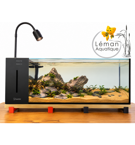 SuperFish – River Aquarium 60 – Aquarium rivière 28 L