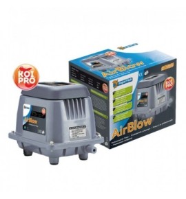 Air Blow 50 compresseur d'air