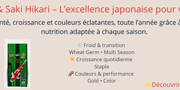 Nourriture carpe koï : guide complet Hikari & Saki Hikari pour un bassin en pleine santé